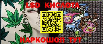 прущие грибы Ярославль