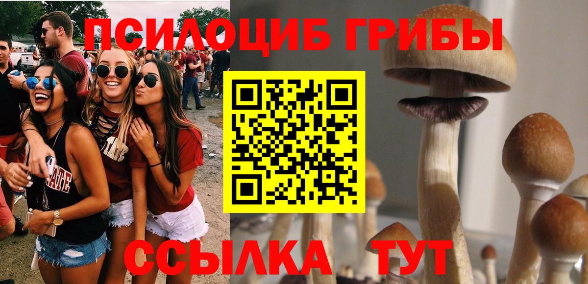 наркотики  Вход с VPN  Новозыбков  Псилоцибиновые грибы GOLDEN TEACHER 