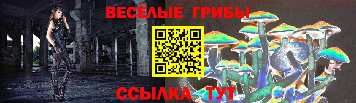 Псилоцибиновые грибы MAGIC MUSHROOMS Новозыбков