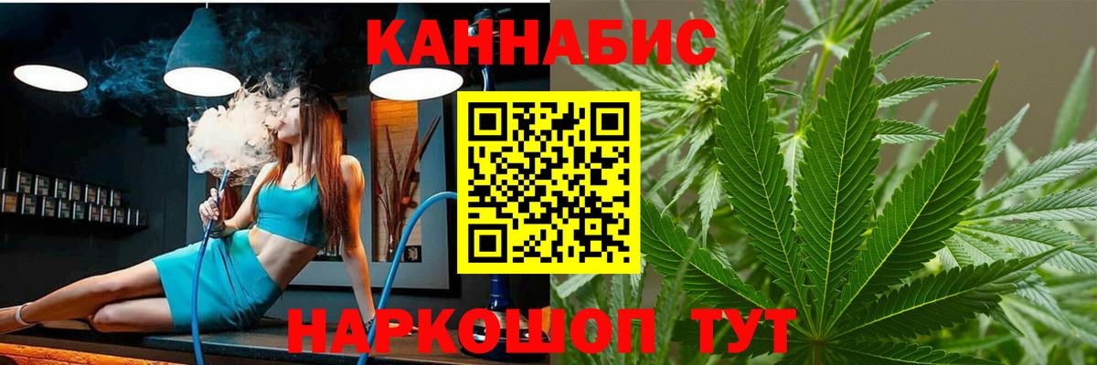 Канабис планчик Новозыбков