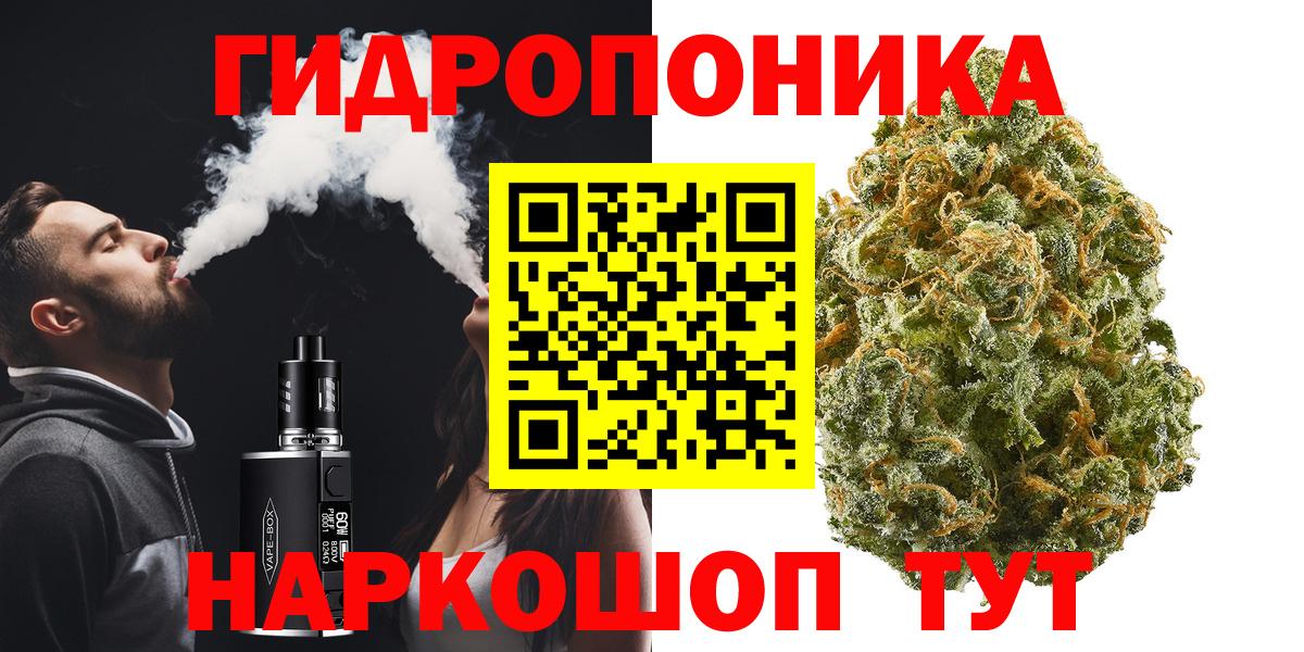 Бошки Шишки Bruce Banner  Бошки марихуана OG Kush  Марихуана VHQ  Новозыбков  Вход с VPN  Каннабис VHQ 